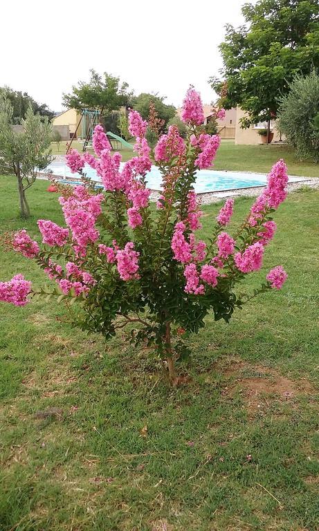 La Bastide De Lily Villa Seguret Luaran gambar